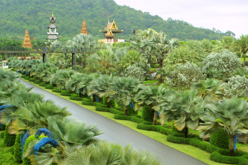 Pattaya - út csodás növényekkel